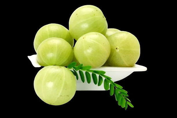 Amla Powder