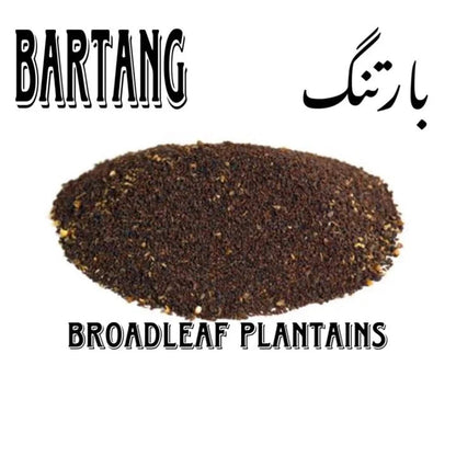 Bartang