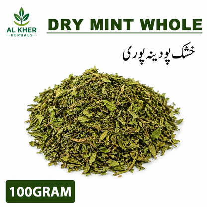 Dried Mint Leaves