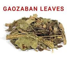Gaozaban (Borage)