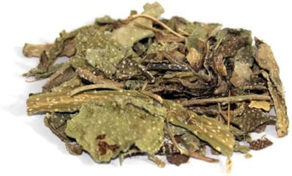 Gaozaban (Borage)