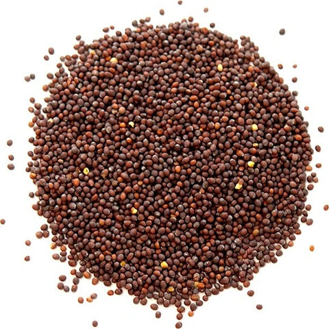 Rai (Mustard Seeds)